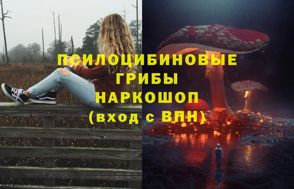 гидропоника Белокуриха