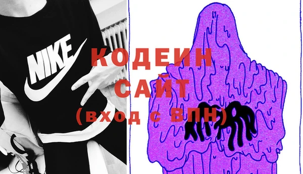 ГАЛЛЮЦИНОГЕННЫЕ ГРИБЫ Строитель