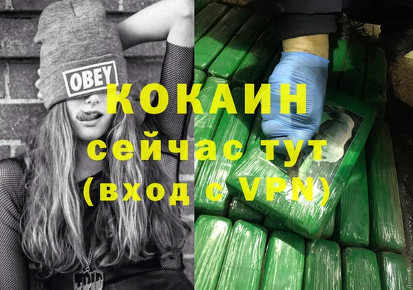 трава Бородино
