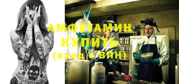 трава Бородино