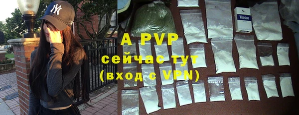 трава Бородино
